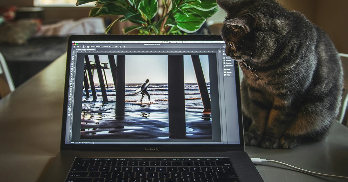 Expert graphiste accompagnant un professionnel sur Photoshop dans un studio moderne